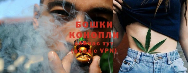 ECSTASY Осинники