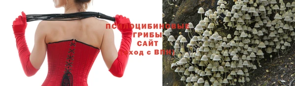 не бодяженный Баксан