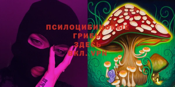 мяу мяу мука Осташков