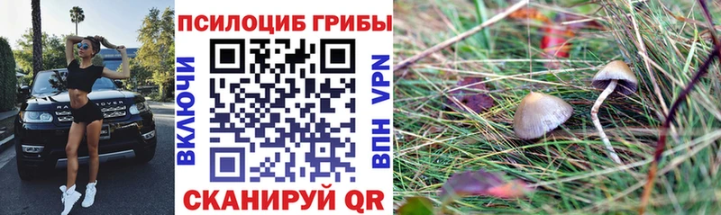 Галлюциногенные грибы мухоморы  где продают   Славянск-на-Кубани 